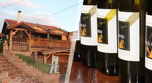 Povedite voljenu osobu na IZLET u bjelovarsko-bilogorske krajeve i predahnite uz DNEVNI najam sobe od 09 do 20h u Agroturizmu Vinia u Bjelovaru s uključenim RUČKOM za 2 osobe!