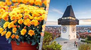 Idealan jednodnevni izlet za sve ljubitelje cvijeća - Darojković Promet vodi Vas u Tulln te sajam i izložbu cvijeća Gartenbaumesse i Graz, s uključenim autobusnim prijevozom!