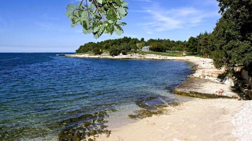 Hotel Istra Plava Laguna - Ljeto u Poreču, Poreč, Istra, Hrvatska - 1.219 EUR - 7x noćenje u Economy sobi s dodatnim ležajem za 2 osobe (1. dijete do 11,99 godina i 2. dijete do 4,99 godina besplatno), Polupansion