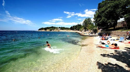 Hotel Gran Vista Plava Laguna - Ljeto u Poreču, Poreč, Istra, Hrvatska - 875 EUR - 5x noćenje u dvokrevetnoj Economy sobi s dodatnim ležajem za 2 osobe (1. dijete do 11,99 godina i 2. dijete do 4,99 godina besplatno), Polupansion i piće uz večeru