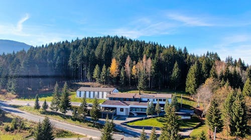 Hotel Forest - Odmor na Jahorini za troje, Pale, Bosna i Hercegovina - 66,50 EUR - 1x noćenje u trokrevetnoj Superior sobi za 3 osobe, Doručak