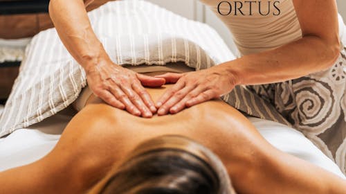 Hotel Rezidenca Ortus - Proljetni ili jesenski wellness paket s uključenom masažom, Ankaran, Slovenija - 349 EUR - 2x noćenje u dvokrevetnoj sobi za 2 osobe, Polupansion