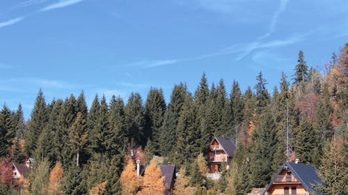 Pansion A&M Vlašić - Proljetna i ljetna avantura na Vlašiću,  Babanovac, Bosna i Hercegovina - 153 EUR - 2x noćenje u dvokrevetnoj sobi za 2 osobe, Doručak