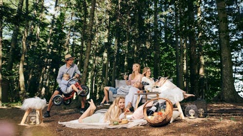Forest Hotel Videc - Uskrs, 1. svibanj ili jesenski praznici na Pohorju, Pohorje, Slovenija - 239 EUR - 2x noćenje u dvokrevetnoj sobi s pomoćnim ležajem i prostranim balkonom za 2 osobe (1 dijete do 6 godina besplatno), Polupansion