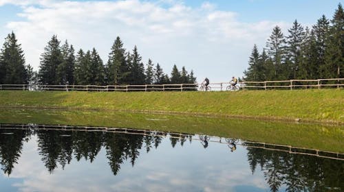 Forest Hotel Videc - Ljetni wellness vikend odmor na Pohorju, Pohorje, Slovenija - 249 EUR - 2x noćenje u dvokrevetnoj sobi s pomoćnim ležajem i prostranim balkonom za 2 osobe (1 dijete do 6 godina besplatno), Polupansion