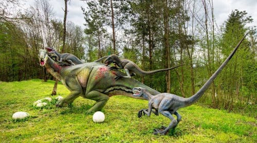 Dinopark Bled - Ulaznica za djecu, Lesce, Slovenija - 5,60 EUR - 1x ulaznica za Dinopark za 1 dijete (djeca od 3 do 17,99 godina), Korištenje 6D Dinokina