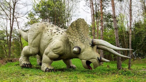 Dinopark Bled - Obiteljska ulaznica, Lesce, Slovenija - 22,40 EUR - 1x obiteljska ulaznica za Dinopark (za 2 odrasle osobe i maksimalno 3 djece), Korištenje 6D Dinokina