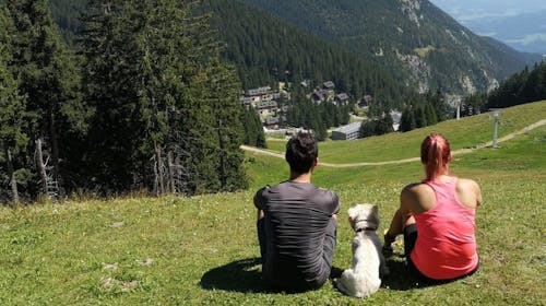 Wellness hotel Montis - Adrenalinska avantura s dozom wellnessa za dvoje na Goltama, Mozirje, Slovenija - 319 EUR - 2x noćenje u dvokrevetnoj sobi za 2 osobe, Polupansion (doručak i večera)