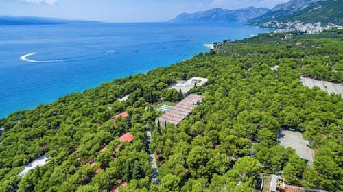 Alemaris Resort - Proljeće i jesen u obnovljenom hotelu, Baška Voda, Makarska rivijera, Hrvatska - 195 EUR - 2x noćenje u Standard dvokrevetnoj sobi s balkonom za 2 osobe (1 dijete do 11,99 godina i 1 dijete do 2,99 godina besplatno), Polupansion (buffet doručak i večera)