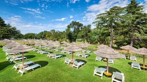 Hotel Mediteran Plava Laguna - Ljeto u Poreču, Poreč, Istra, Hrvatska - 1.298 EUR - 7x noćenje u dvokrevetnoj Economy sobi za 2 osobe, Polupansion