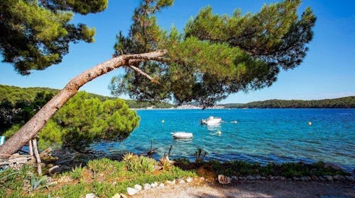 Camping Village Poljana - Mobilna kućica - Odmor na Malom Lošinju, Mali Lošinj, Hrvatska - 212 EUR - 4x noćenje u mobilnoj kućici Bellavista za 4 osobe (1 dijete do 11,99 godina besplatno), Korištenje struje, plina i vode