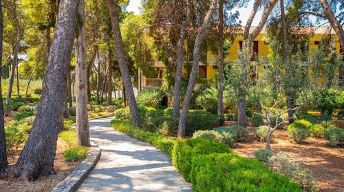 Aminess Vival Casa Velaris - Ljeto na Braču za obitelji, Supetar, otok Brač, Dalmacija, Hrvatska - 640 EUR - 4x noćenje u dvokrevetnoj Comfort sobi s balkonom za 2 osobe (1 dijete do 9,99 godina besplatno), Polupansion