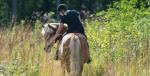 Galop u nepoznato - jahačka avantura kroz prirodu u trajanju 2 sata u organizaciji Udruge Šapat konja